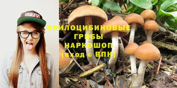 крисы Дмитровск