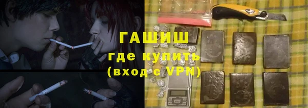 тгк Дмитриев