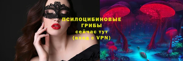 тгк Дмитриев