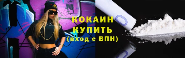 крисы Дмитровск
