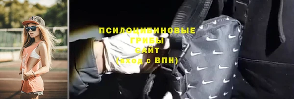 тгк Дмитриев