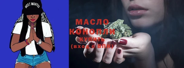 тгк Дмитриев