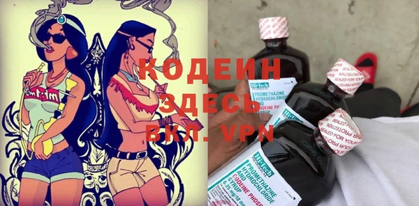 тгк Дмитриев
