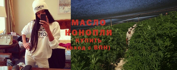 тгк Дмитриев