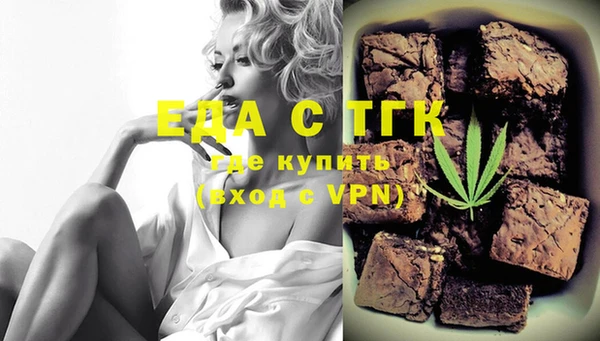 тгк Дмитриев