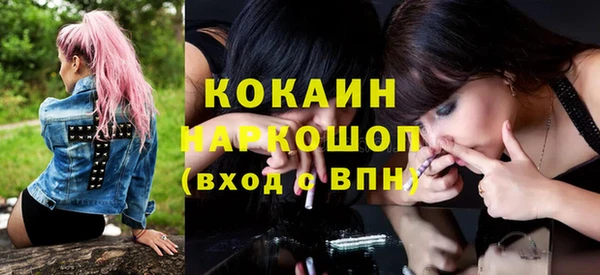 тгк Дмитриев