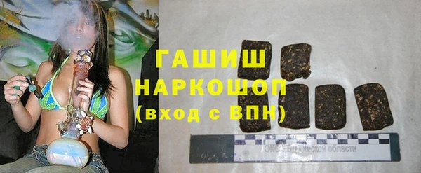 тгк Дмитриев