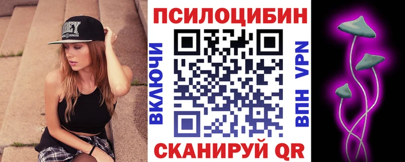 Купить закладки  Морозовск  Галлюциногенные грибы Psilocybine cubensis 